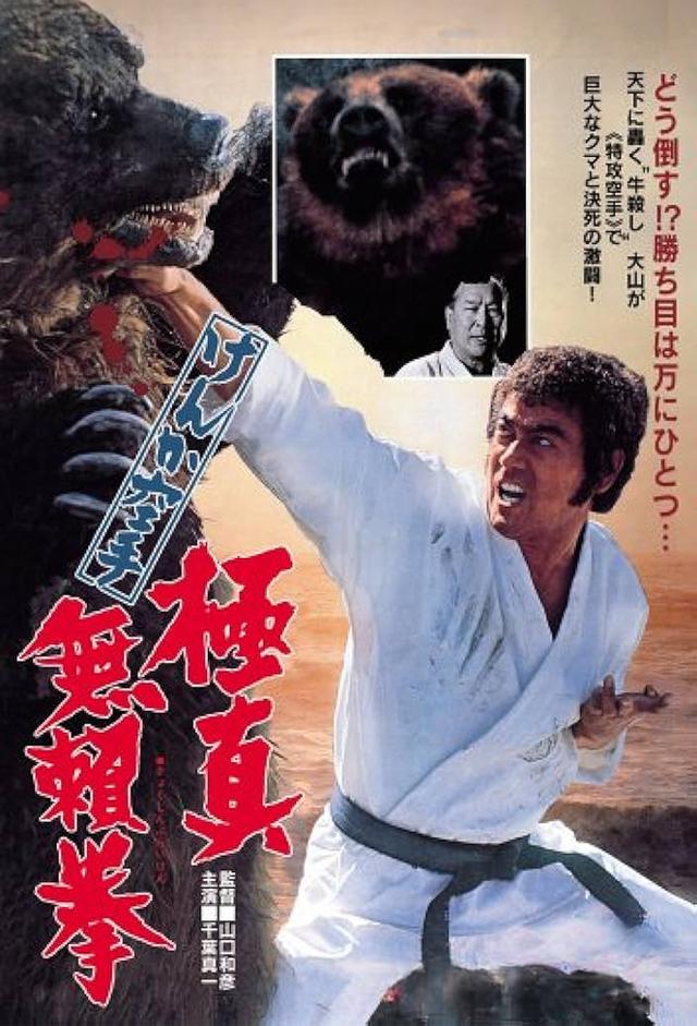 Karate Bear Fighter