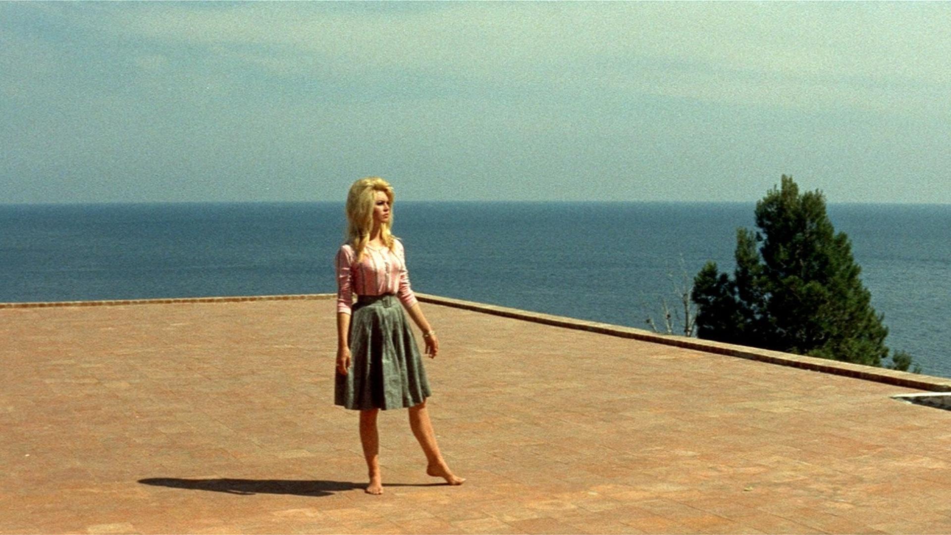 Contempt
