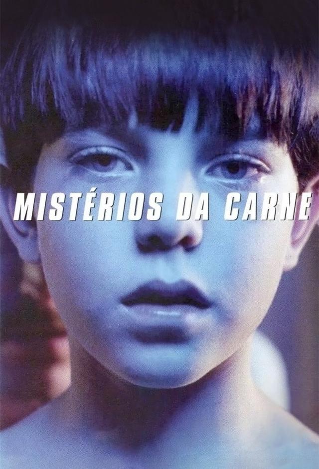 Mysterious Skin (Oscura inocencia)