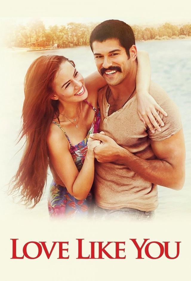 The Love is Similar to You