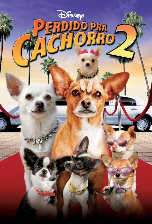 Un chihuahua en Beverly Hills 2