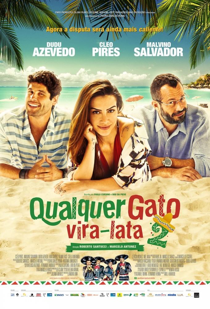 Qualquer Gato Vira Lata 2