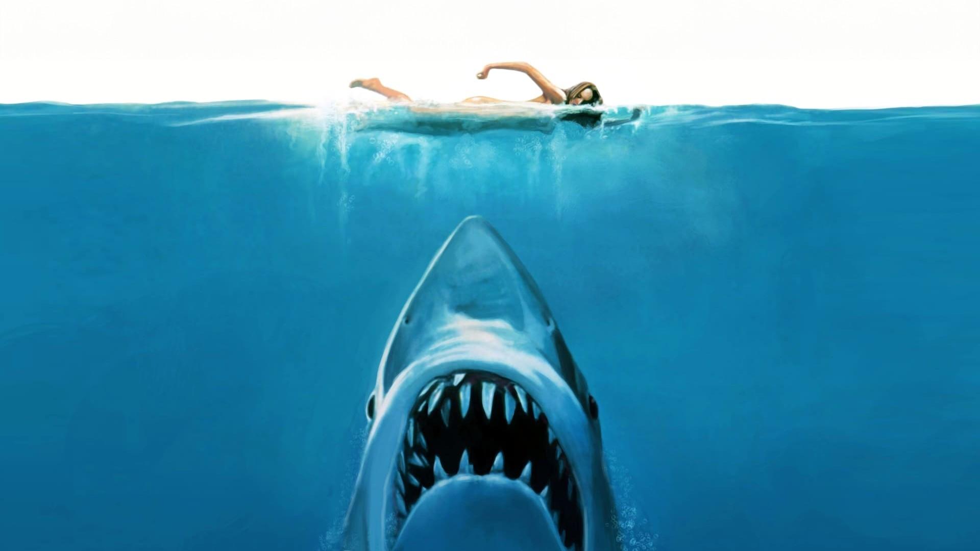 Jaws