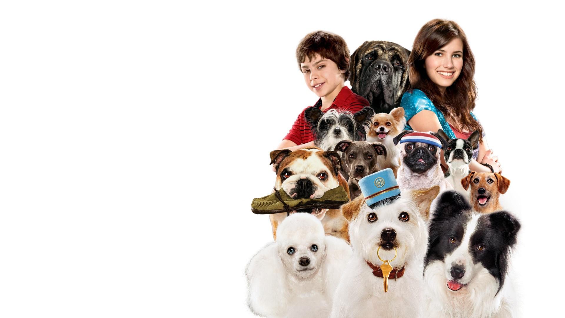 Hotel para perros
