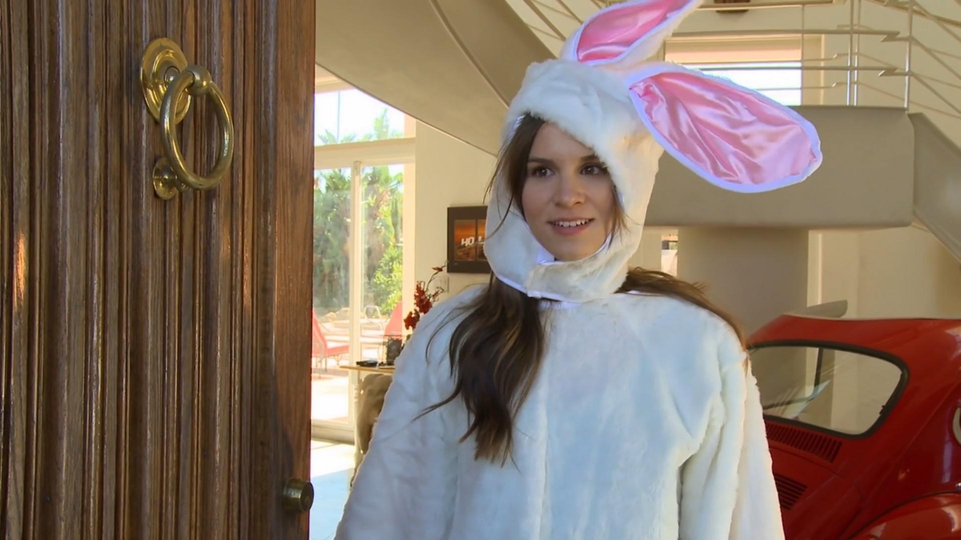 An Easter Bunny Puppy