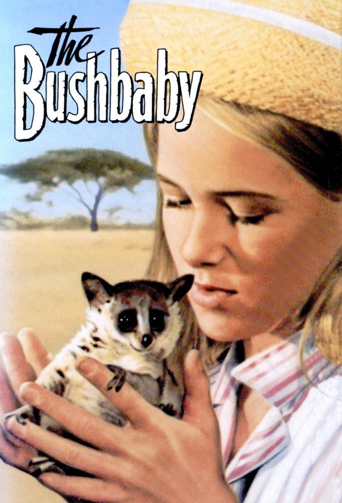 The Bushbaby