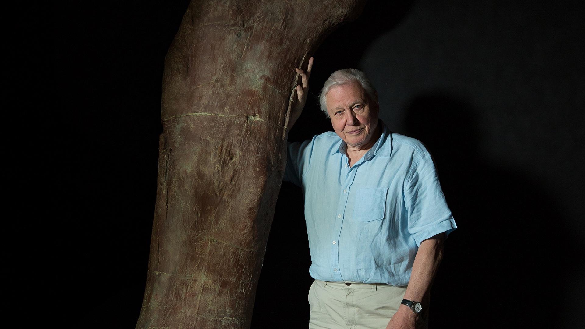 Attenborough and the Giant Dinosaur