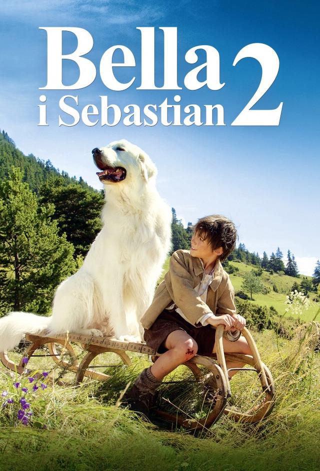 Belle et Sébastien : L'aventure continue