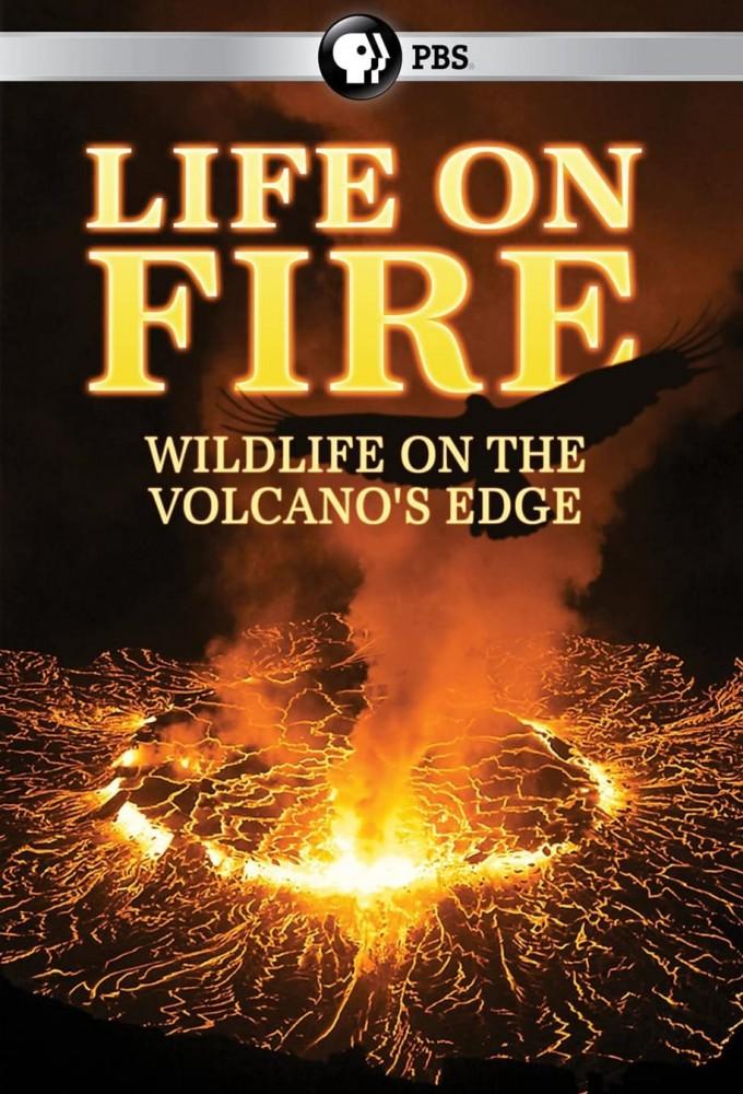 The People of the Volcanoes