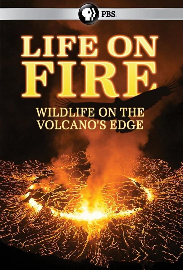 The People of the Volcanoes