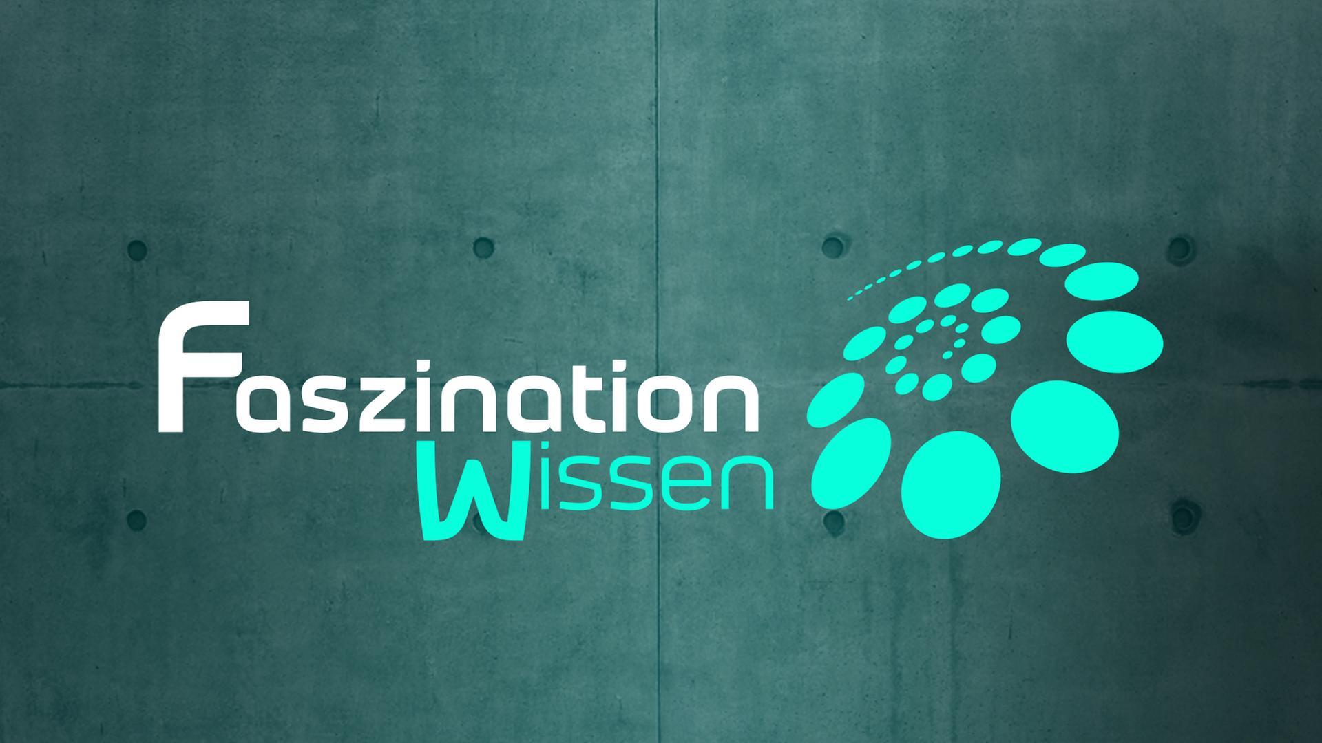 Faszination Wissen