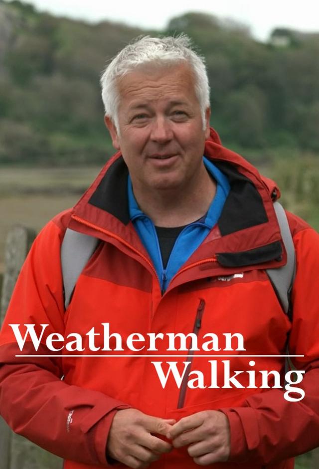 Weatherman Walking