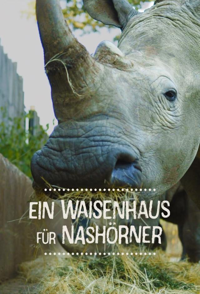 The Rhino Orphanage