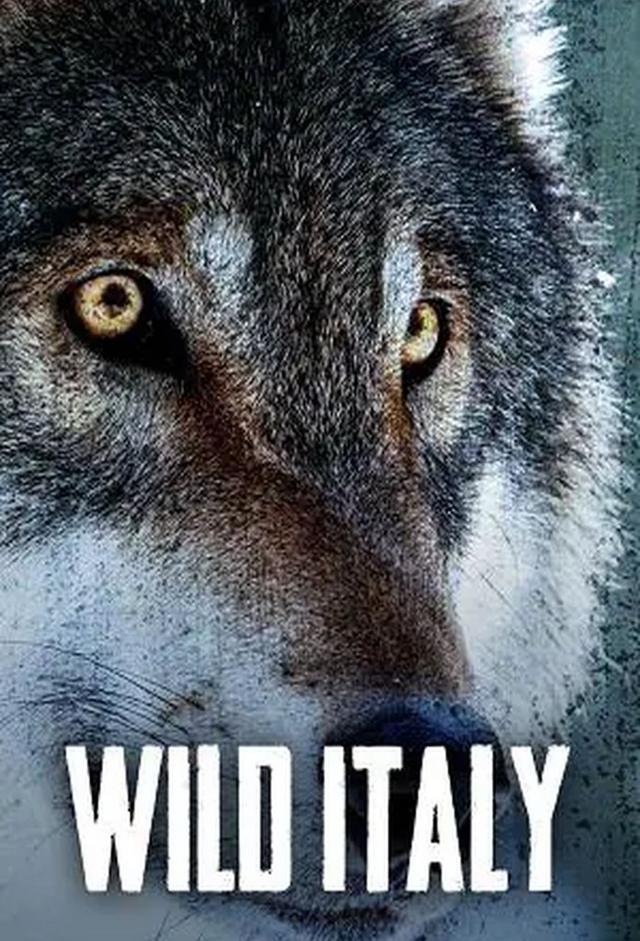 Wild Italy