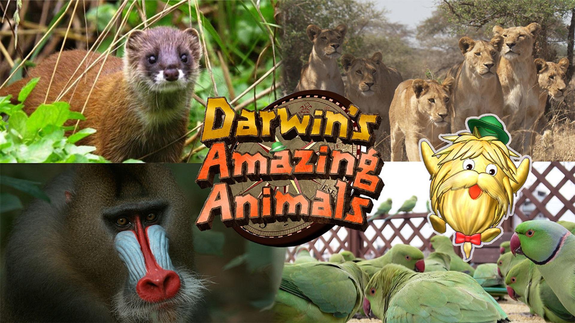 Darwin's Amazing Animals