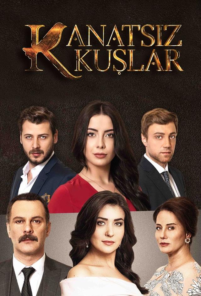 Kanatsiz Kuslar