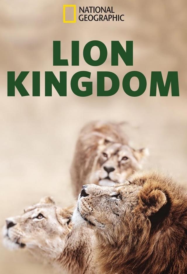 Territorio de leones