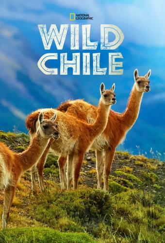 Wild Chile: Wild Country (2017)