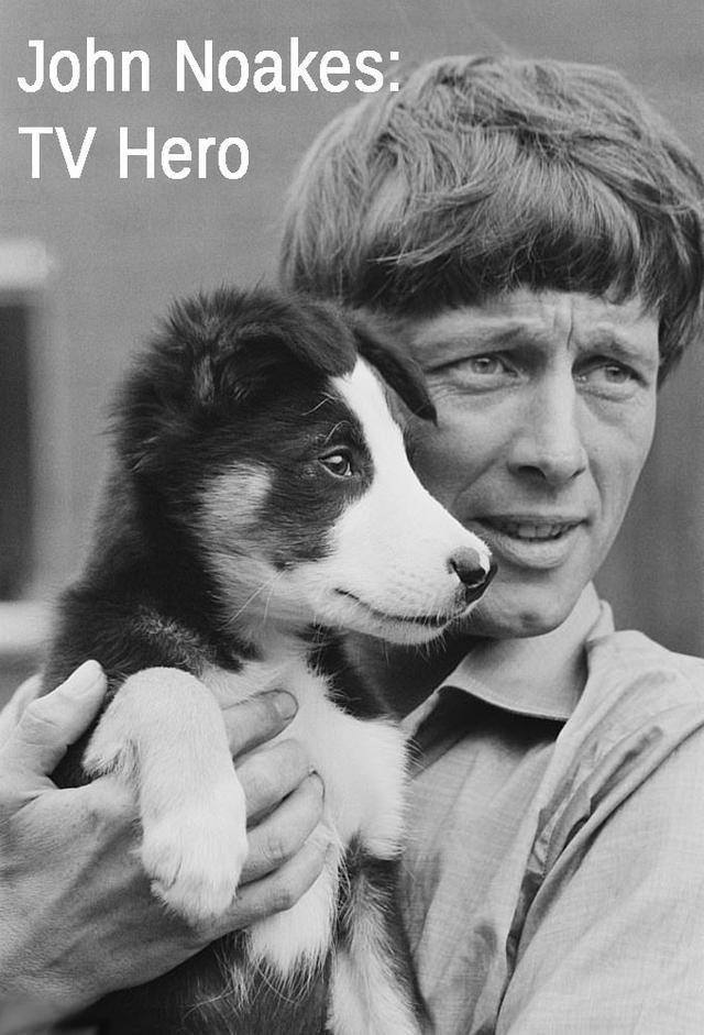 John Noakes: TV Hero