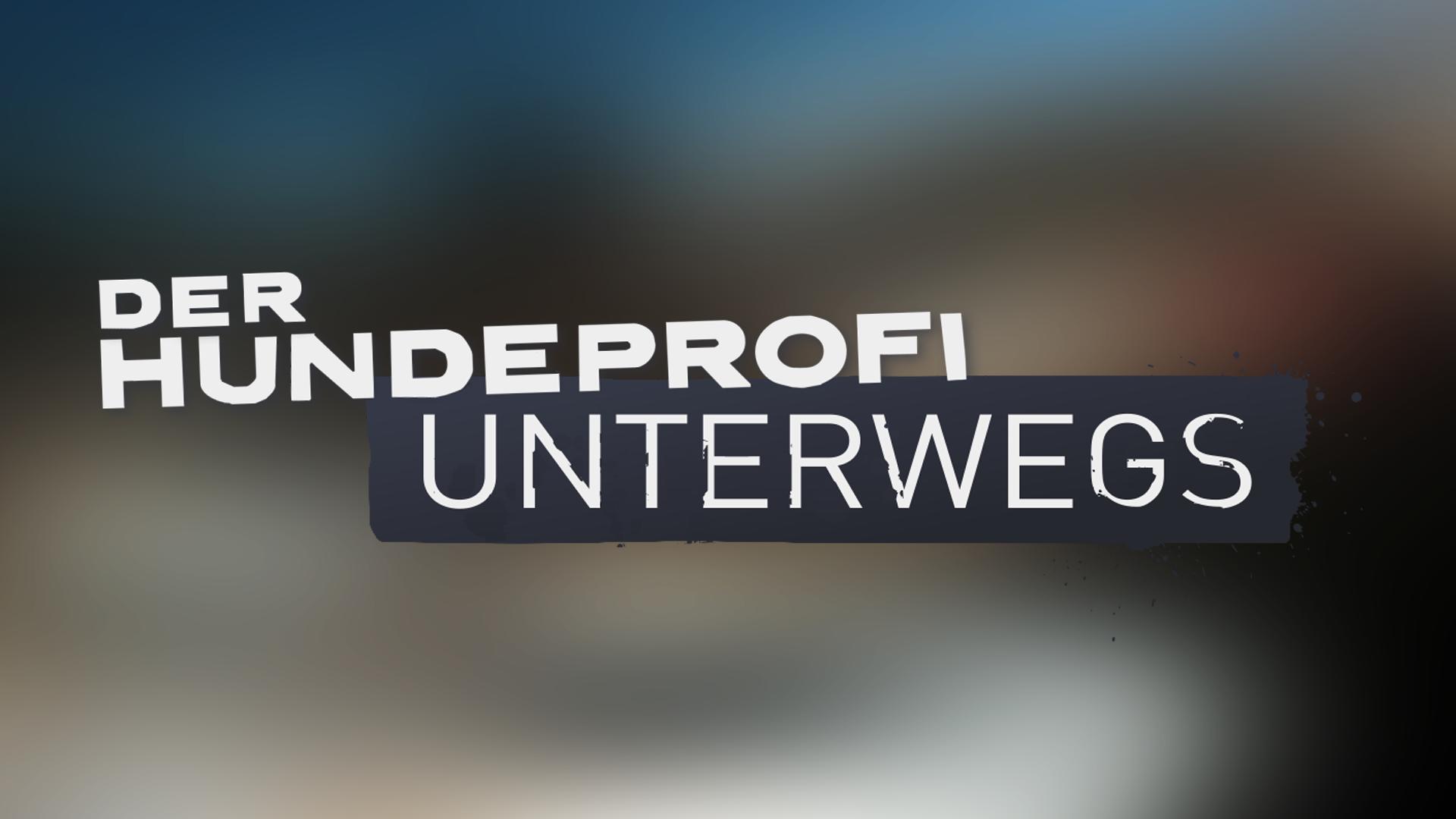 Der Hundeprofi unterwegs