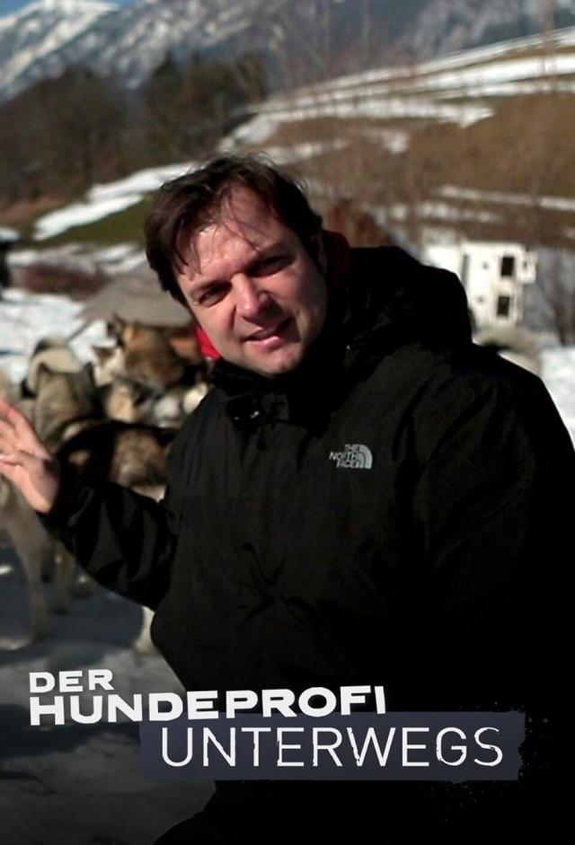 Der Hundeprofi unterwegs