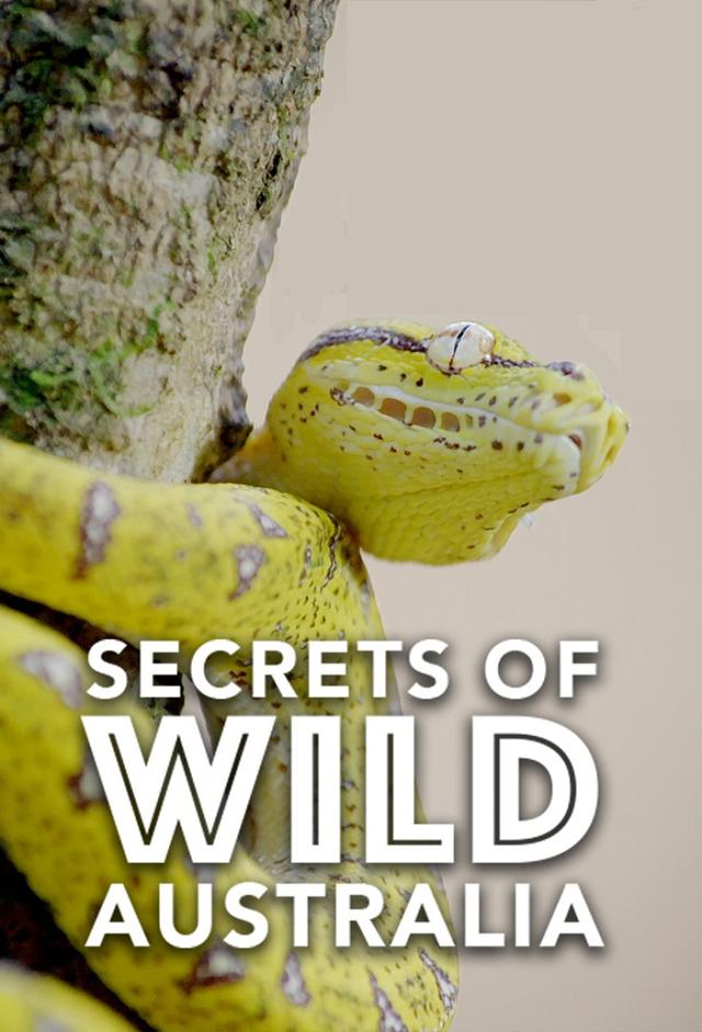 Secrets of Wild Australia