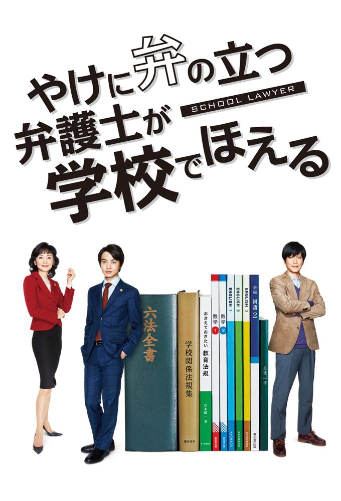 School Lawyer