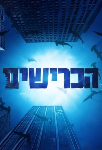 The Sharks IL