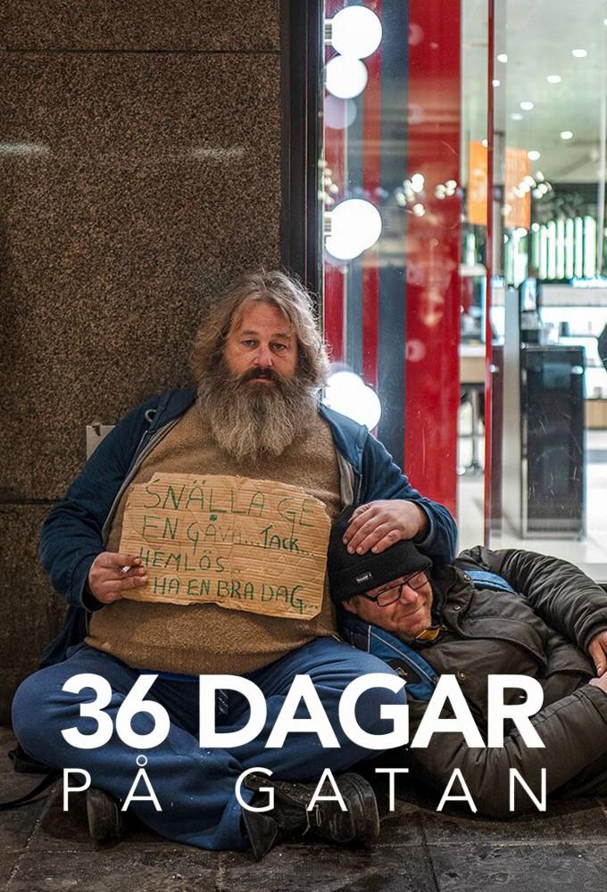 36 dagar på gatan