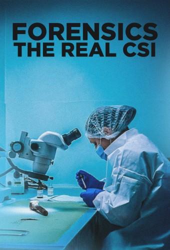 Forensics: The Real CSI