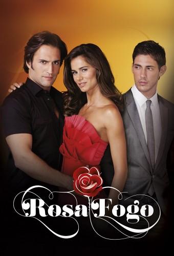 Rosa Fogo