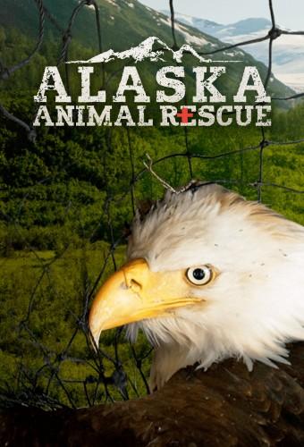 Alaska Animal Rescue