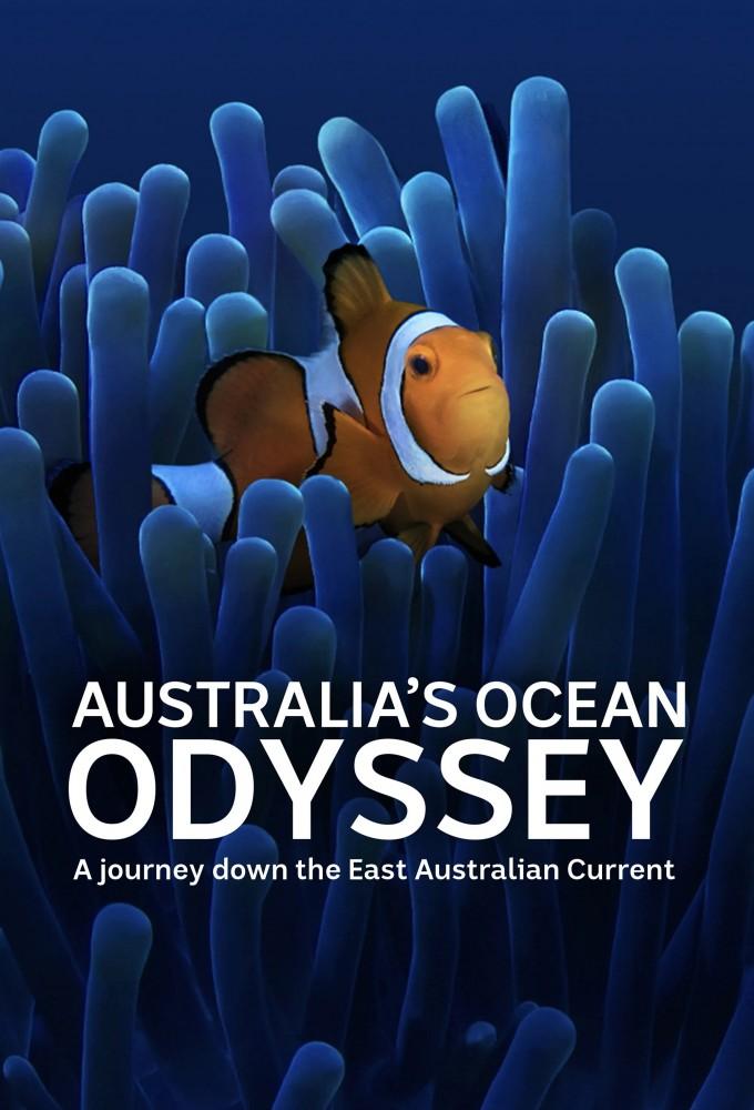 Australia's Ocean Odyssey: A Journey Down The East Australian Current
