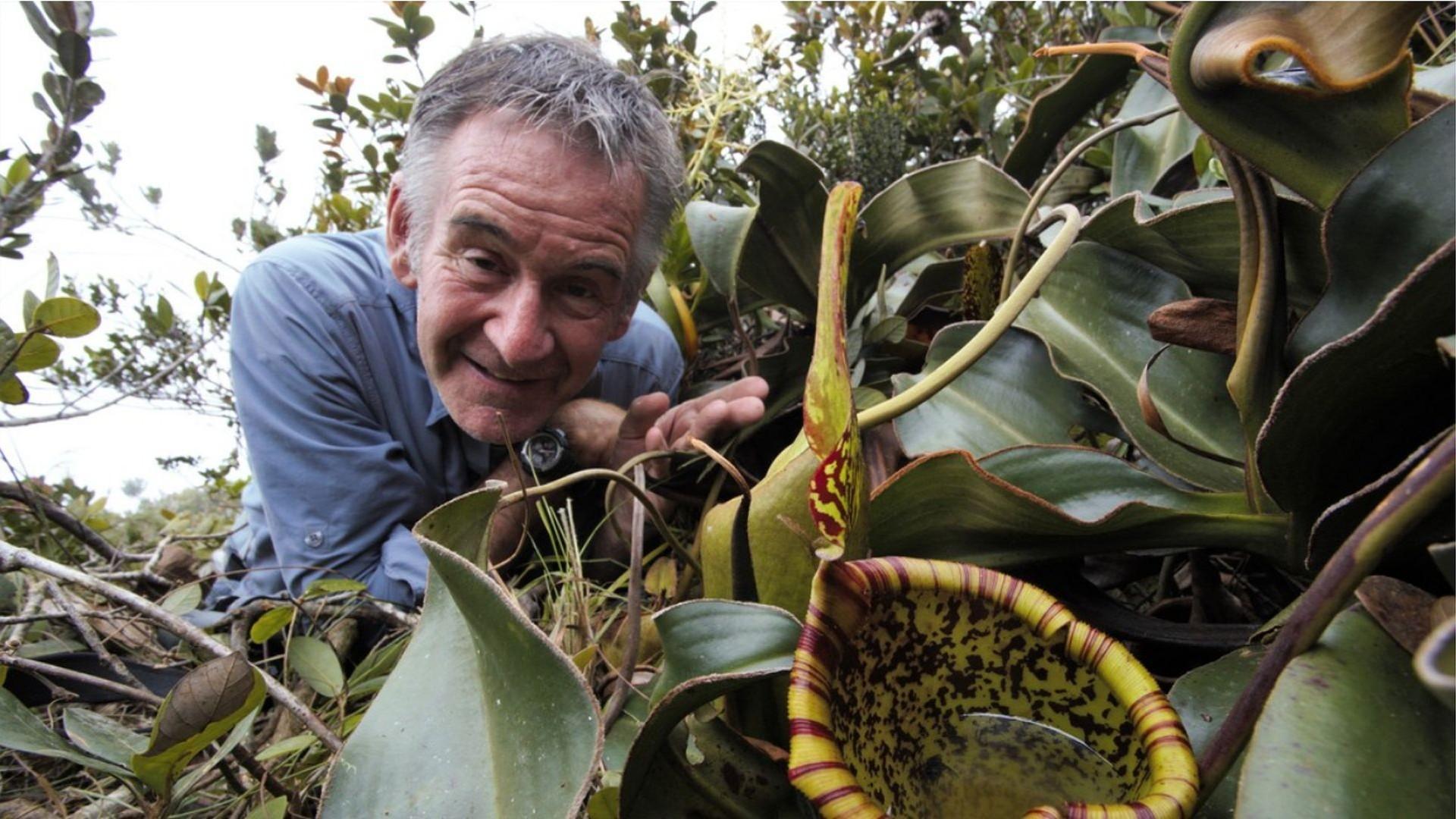 Nigel Marven's Wild Philippines