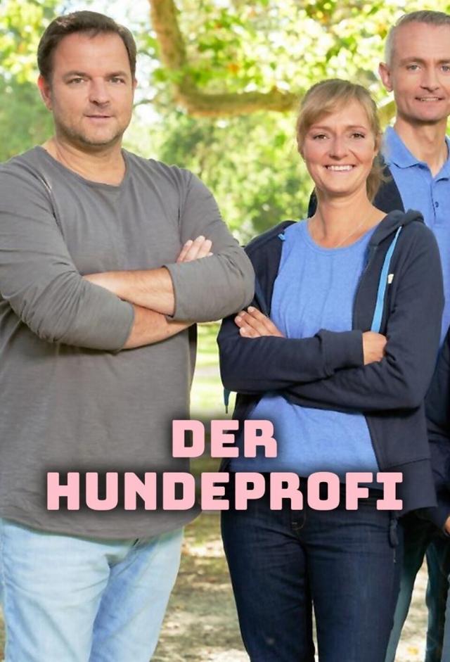 Der Hundeprofi - Rütters Team