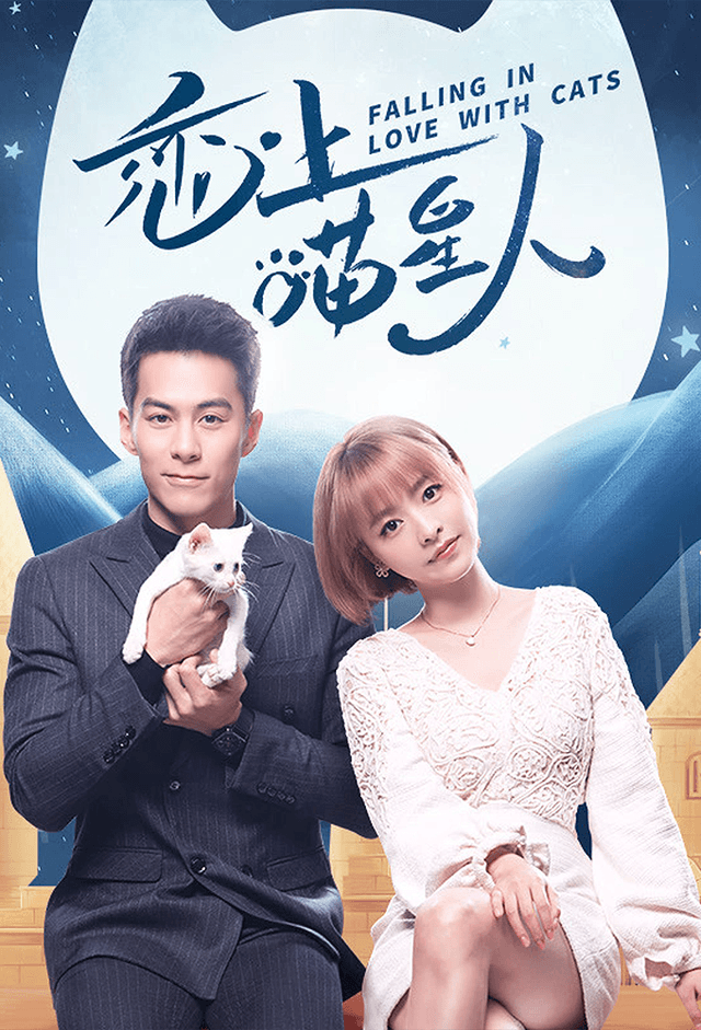 Falling in Love With Cats