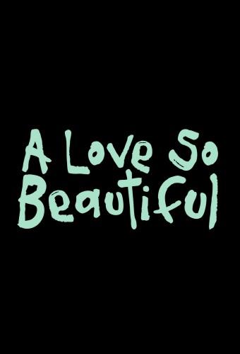 A Love So Beautiful (KR)
