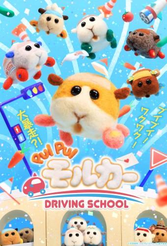 PUI PUI モルカー