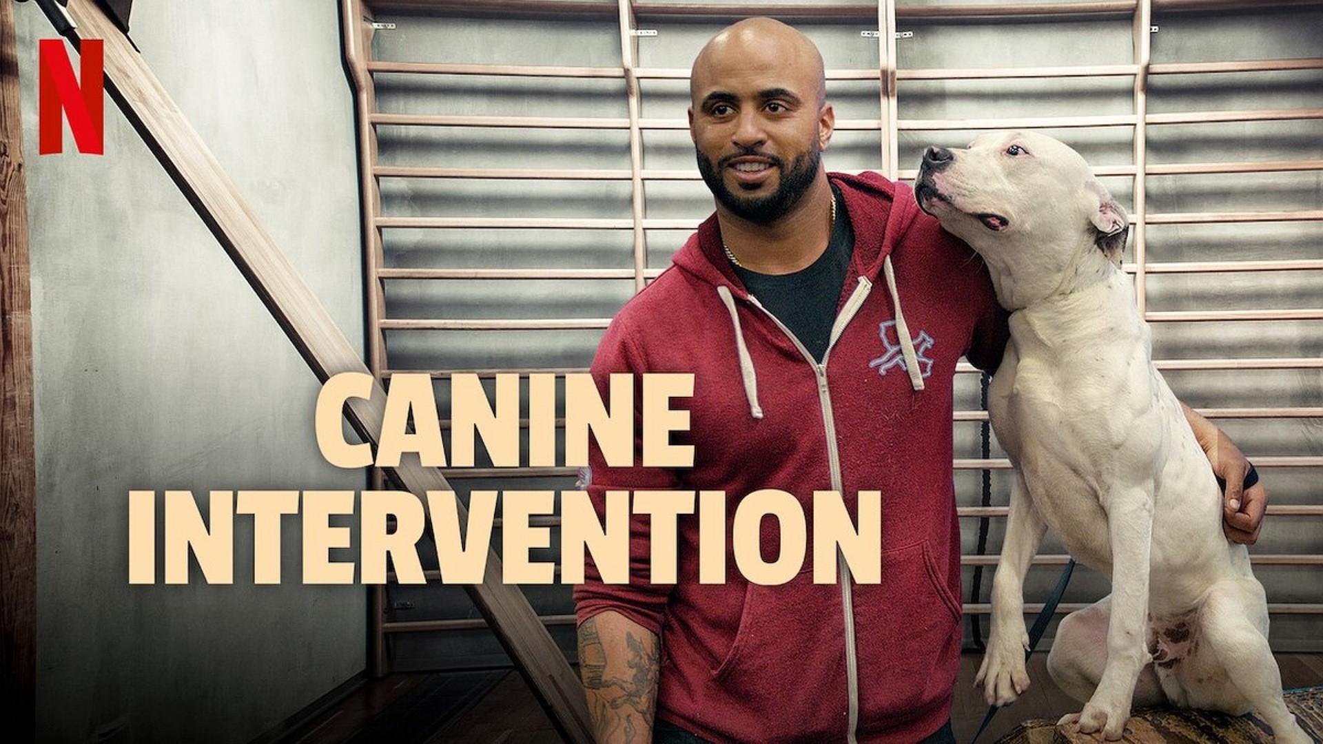 Canine Intervention