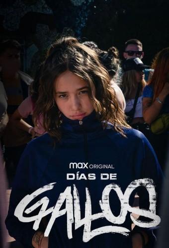 Días de gallos