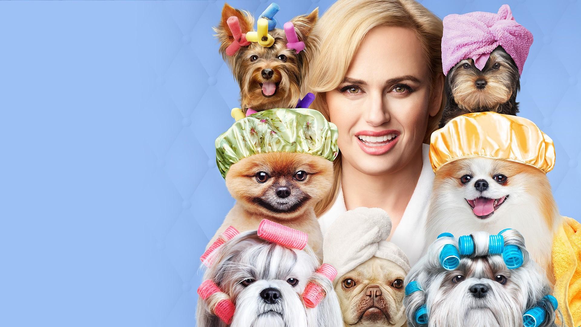 Pooch Perfect (US)