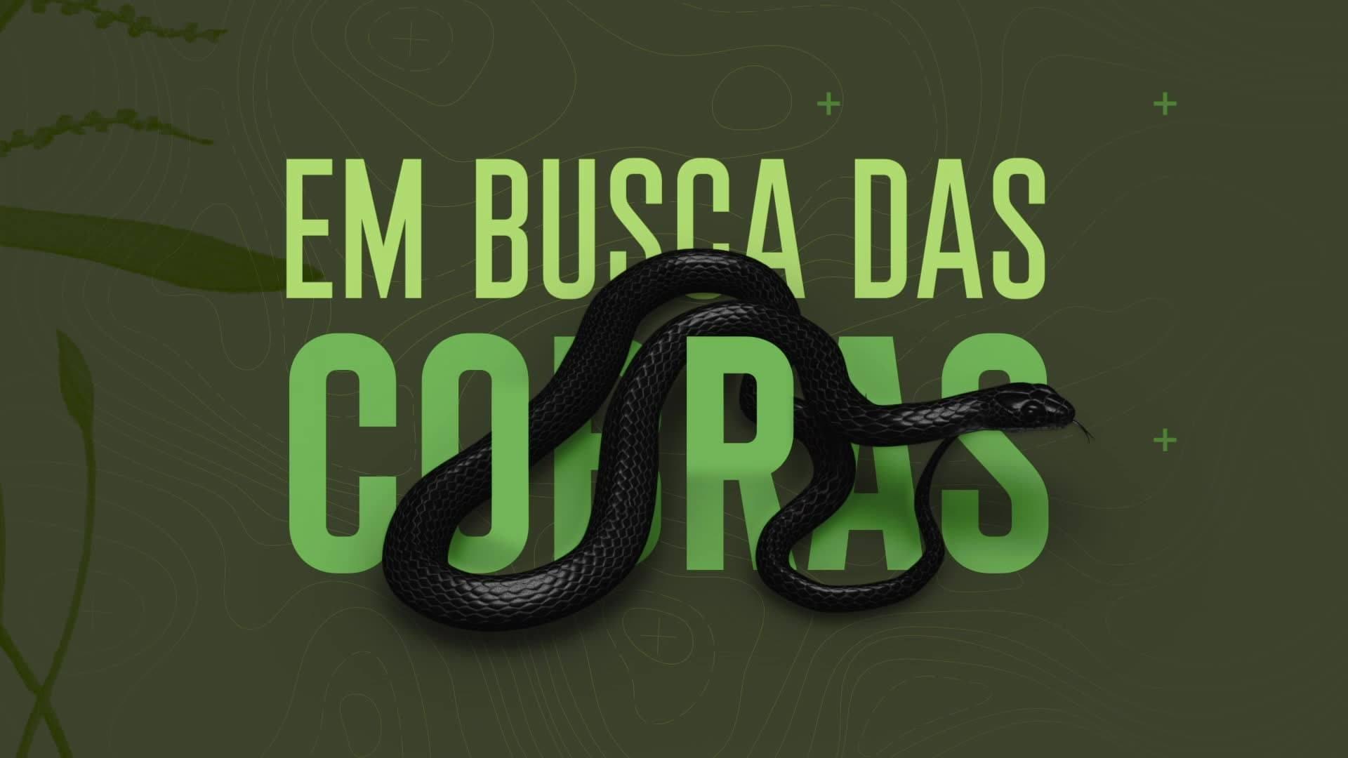Buscadores de cobras