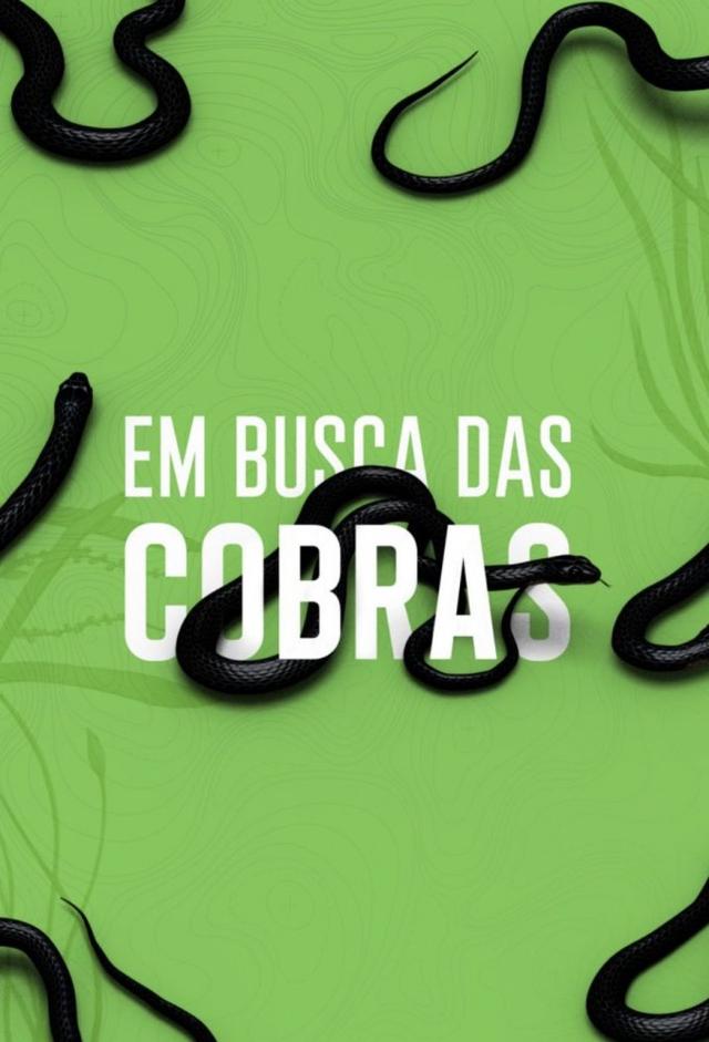 Buscadores de cobras