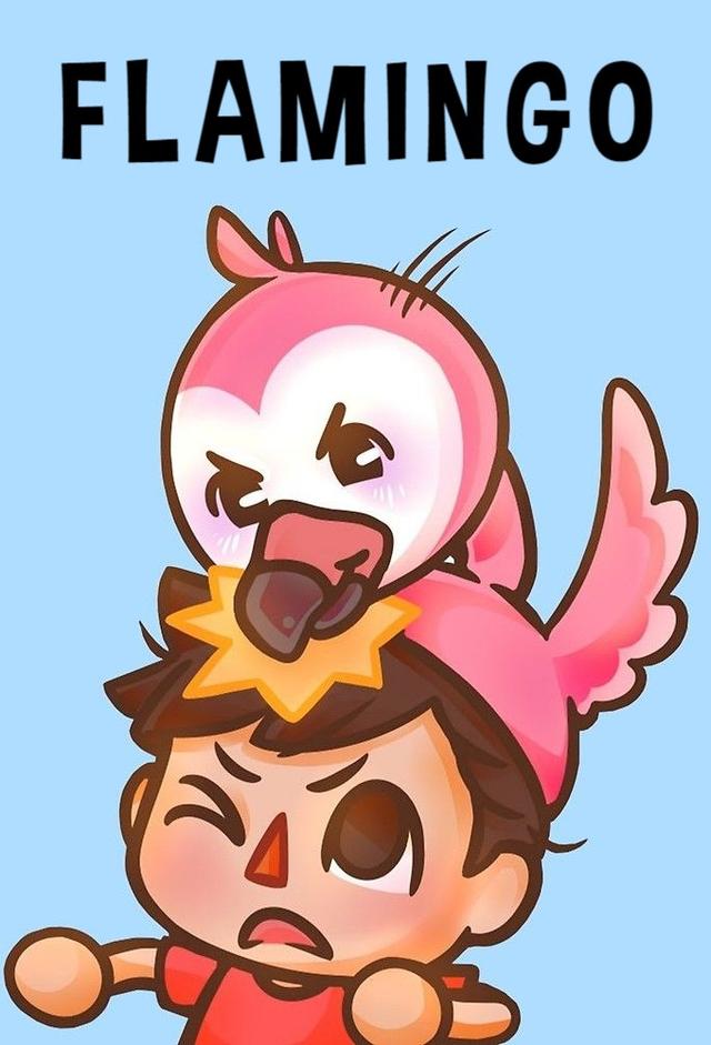 Flamingo