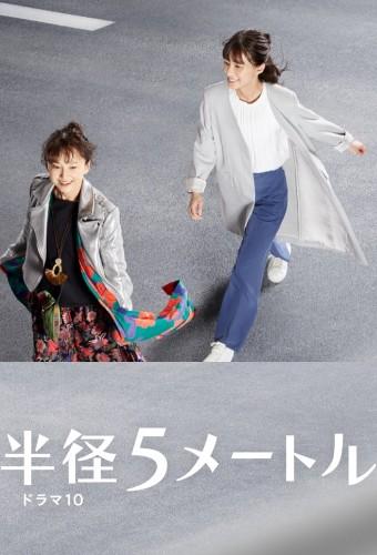 Stories Within 5 Meters Radius