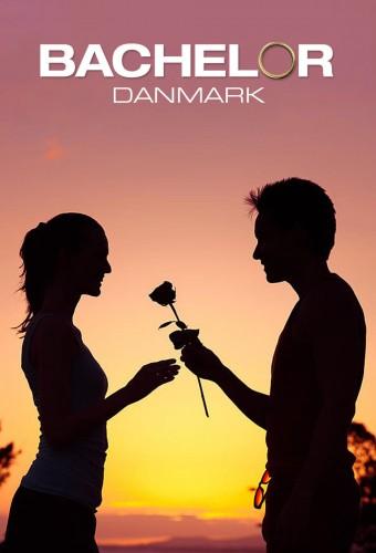 Bachelor
