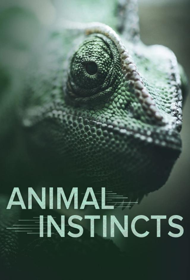 Animal Instincts