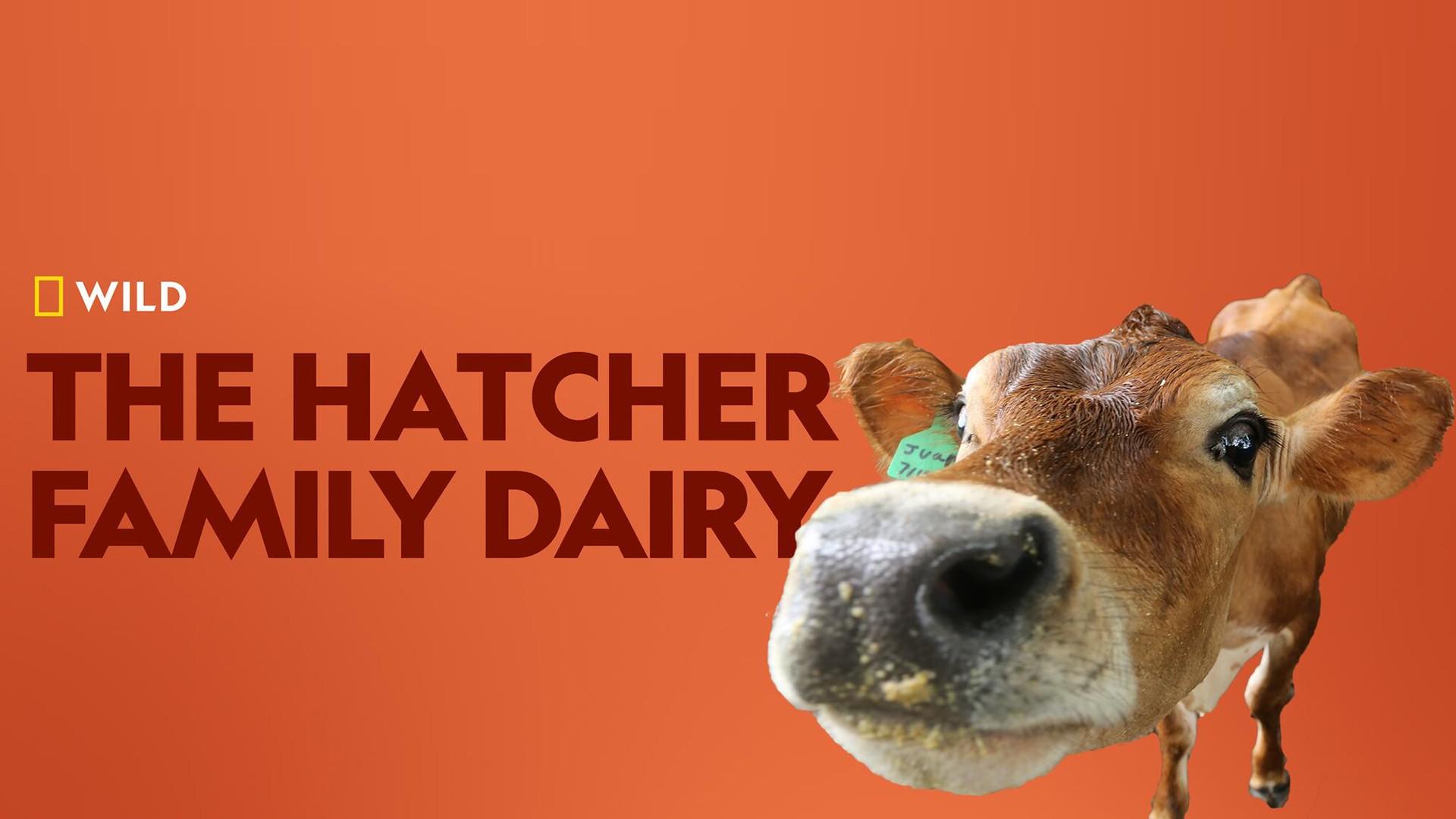 The Hatcher Family Dairy