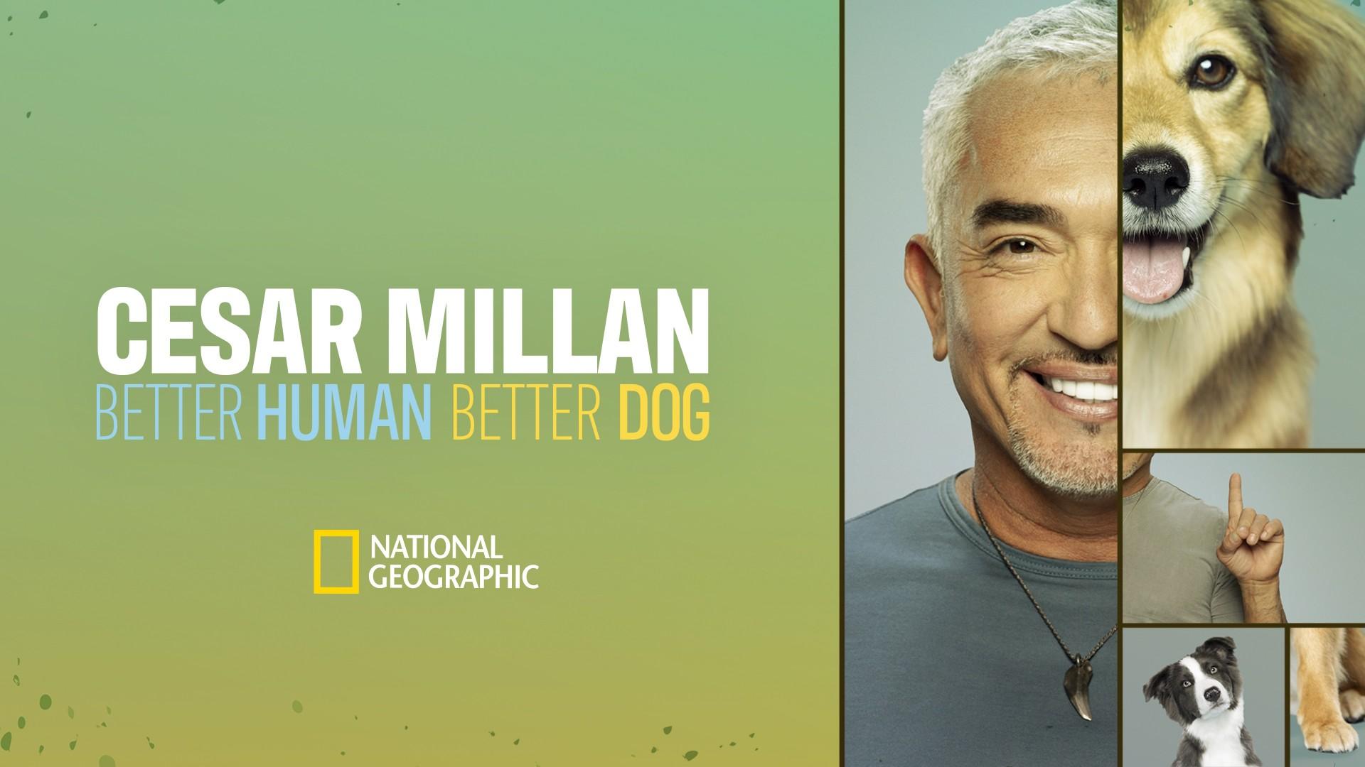 Cesar Millan: Better Human Better Dog