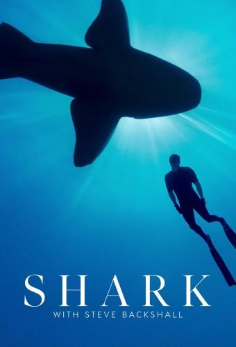 Shark with Steve Backshall